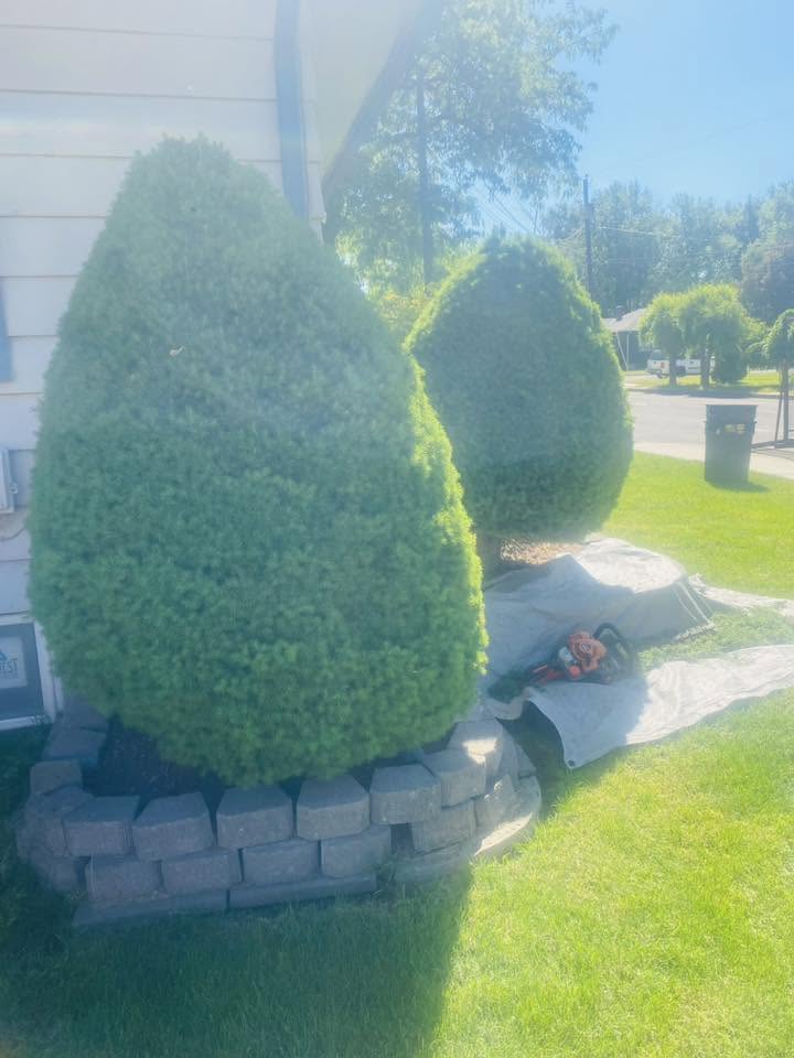 Landscaping project 63