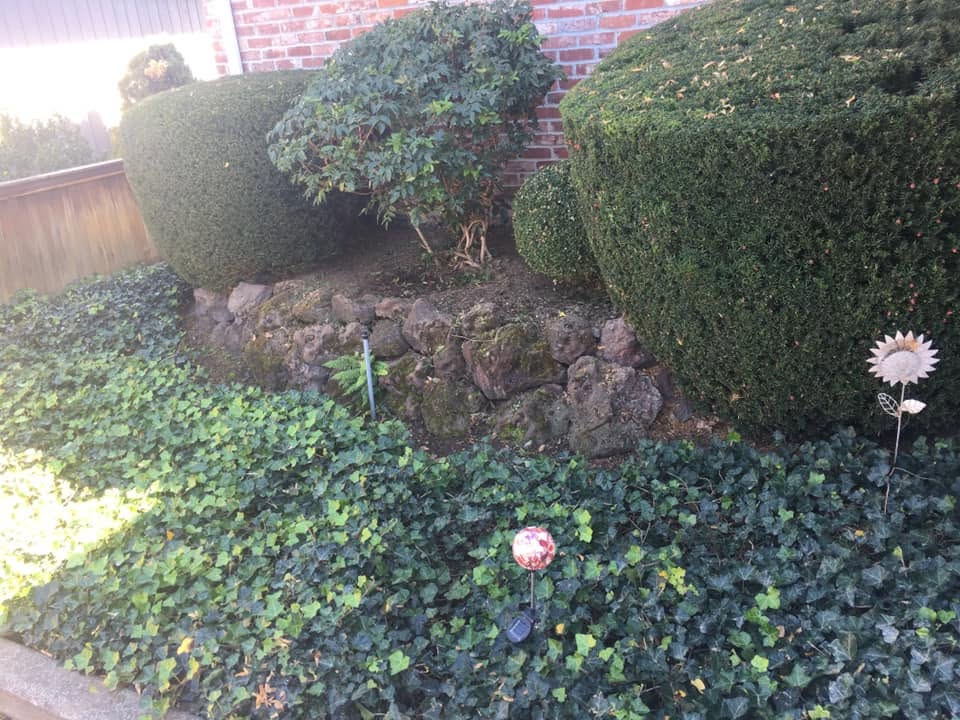 Landscaping project 52