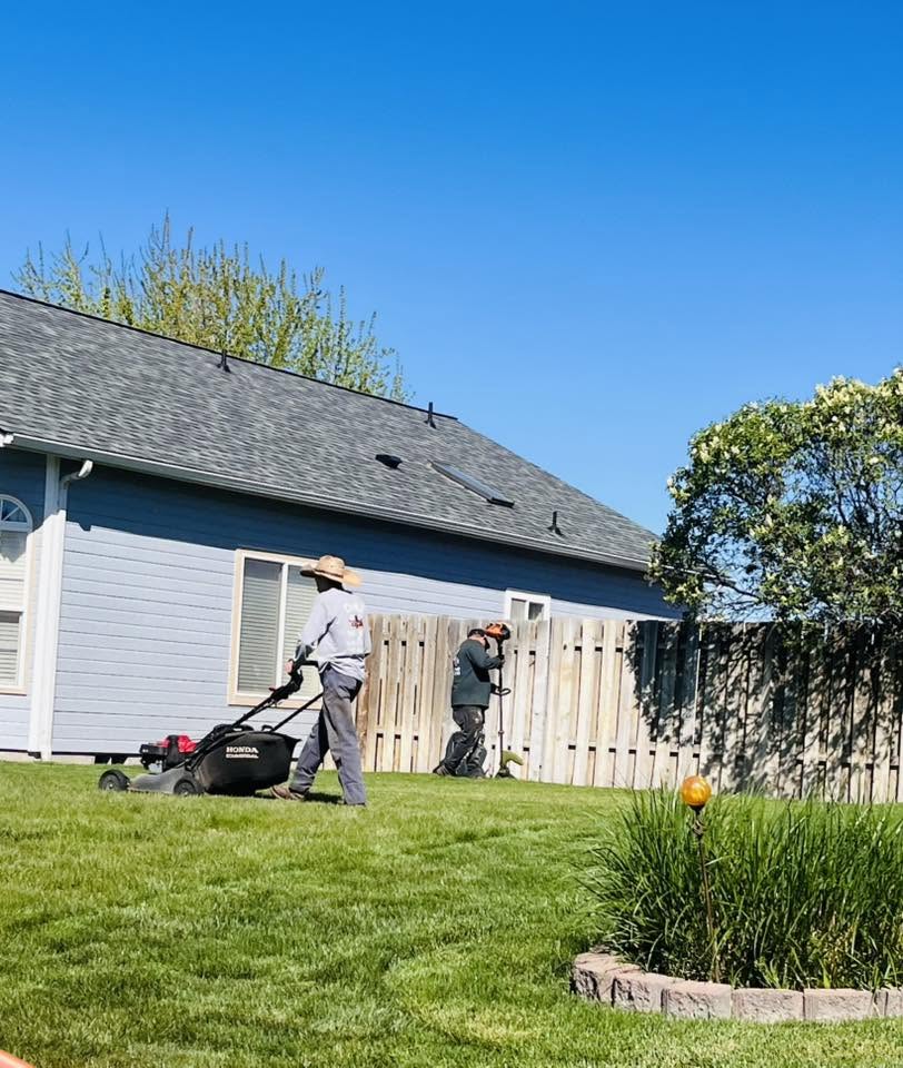 Landscaping project 46