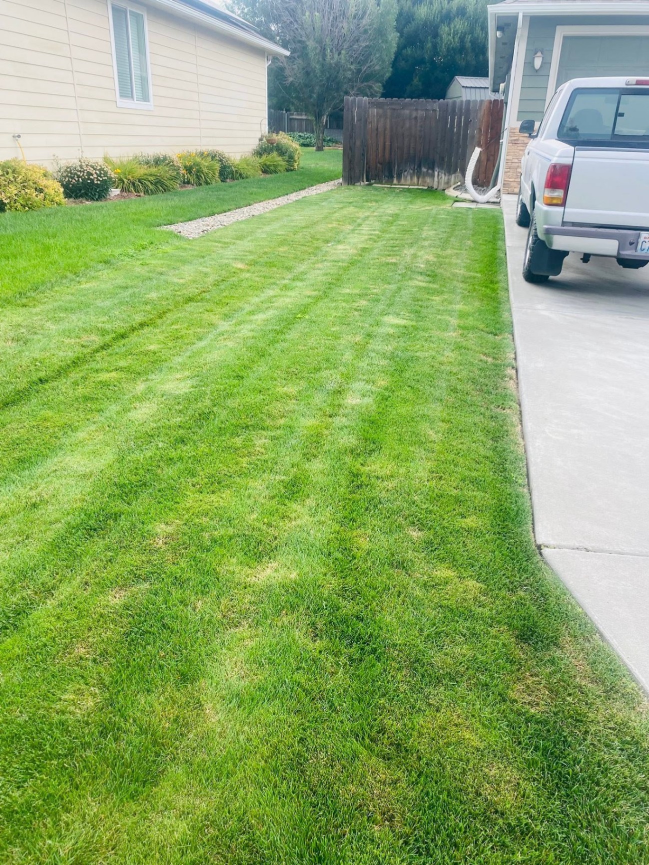 Landscaping project 25
