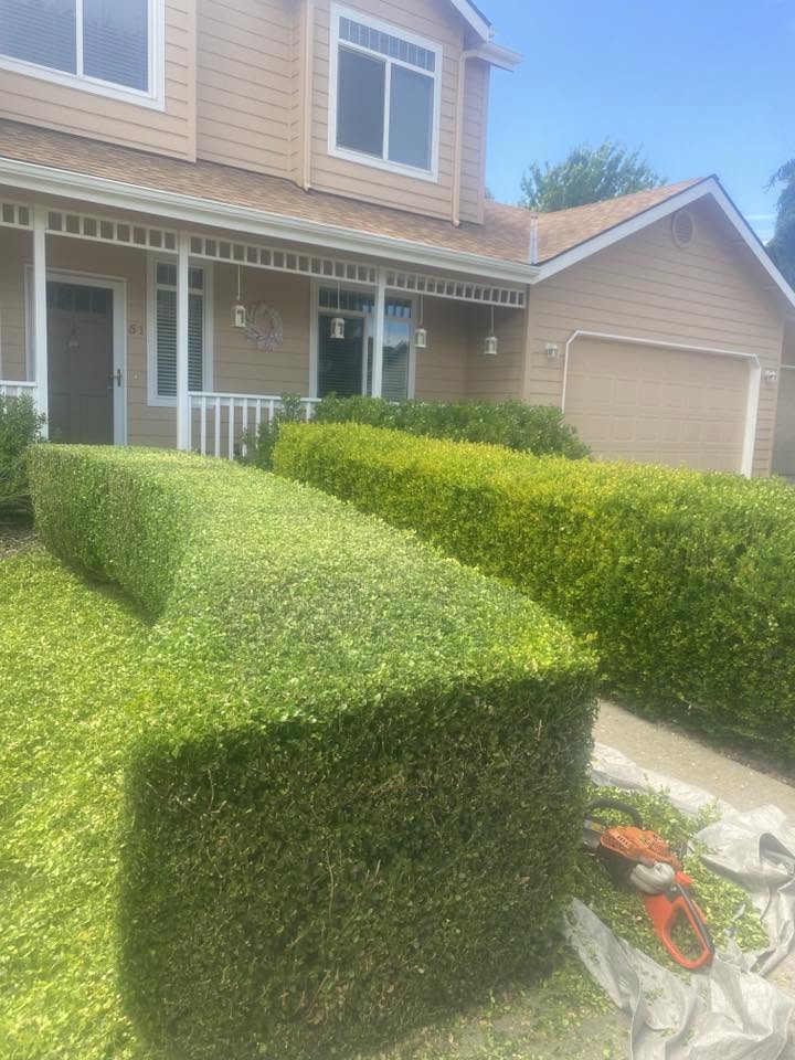 Landscaping project 53