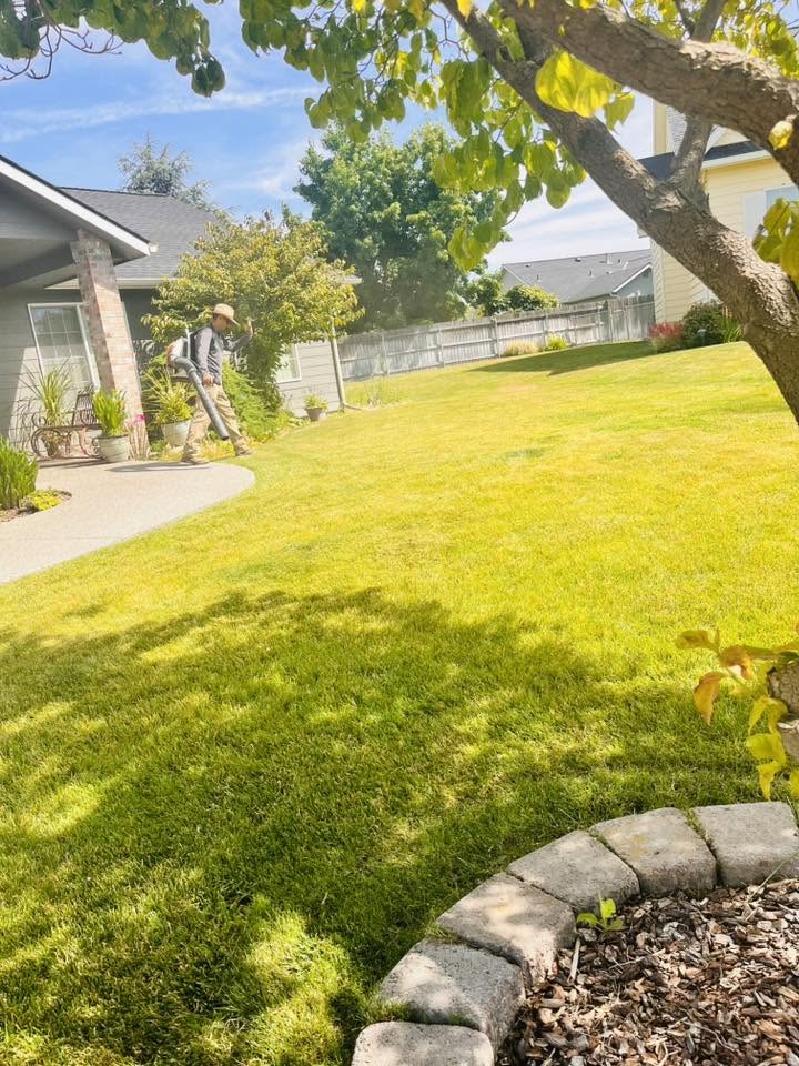 Landscaping project 31