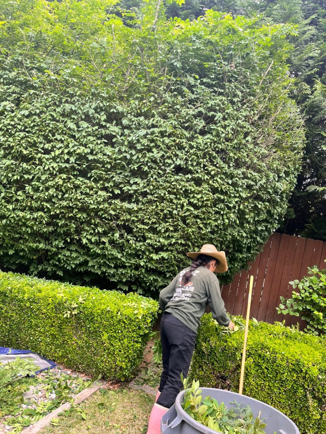 Landscaping project 83