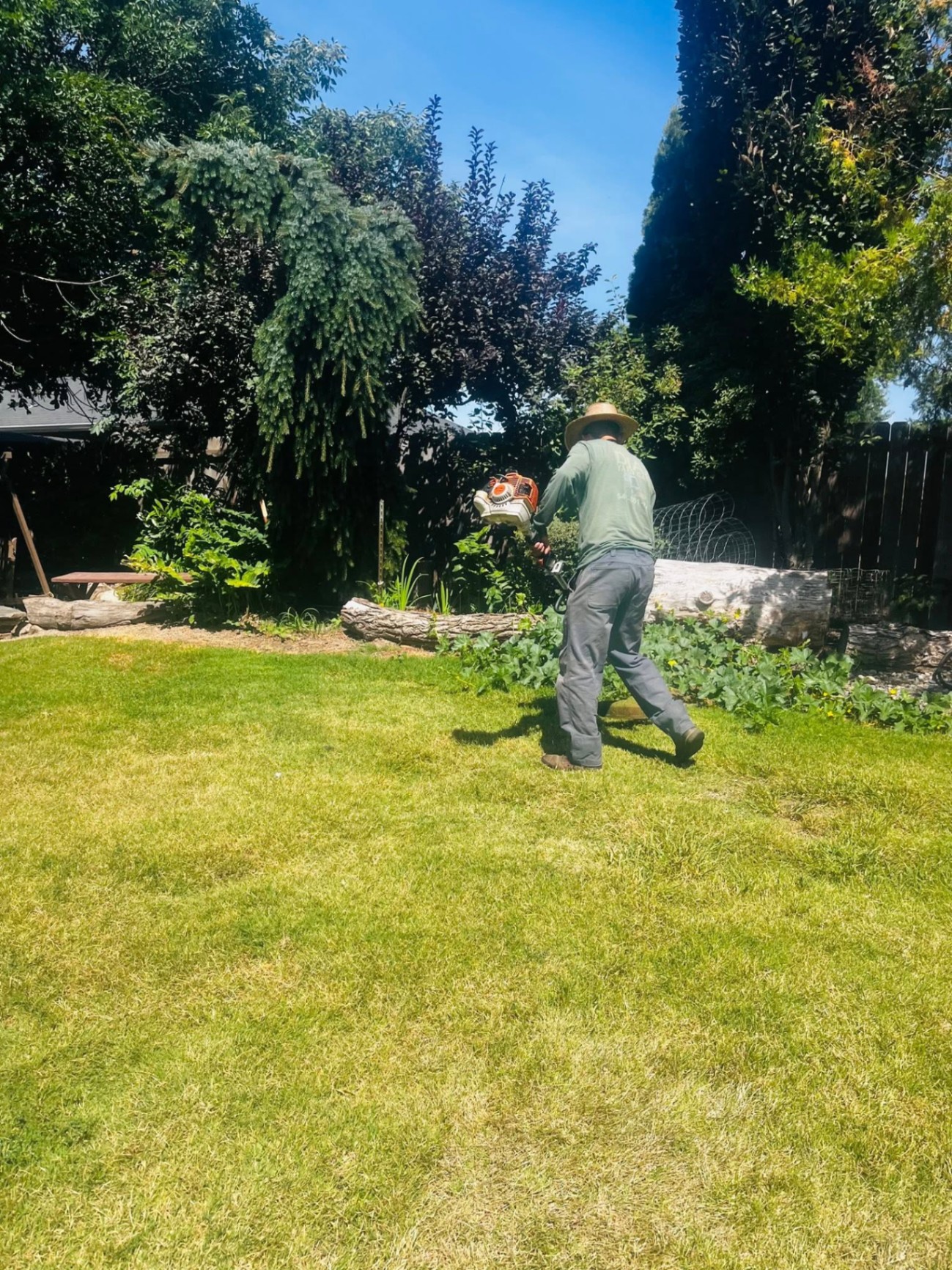 Landscaping project 57