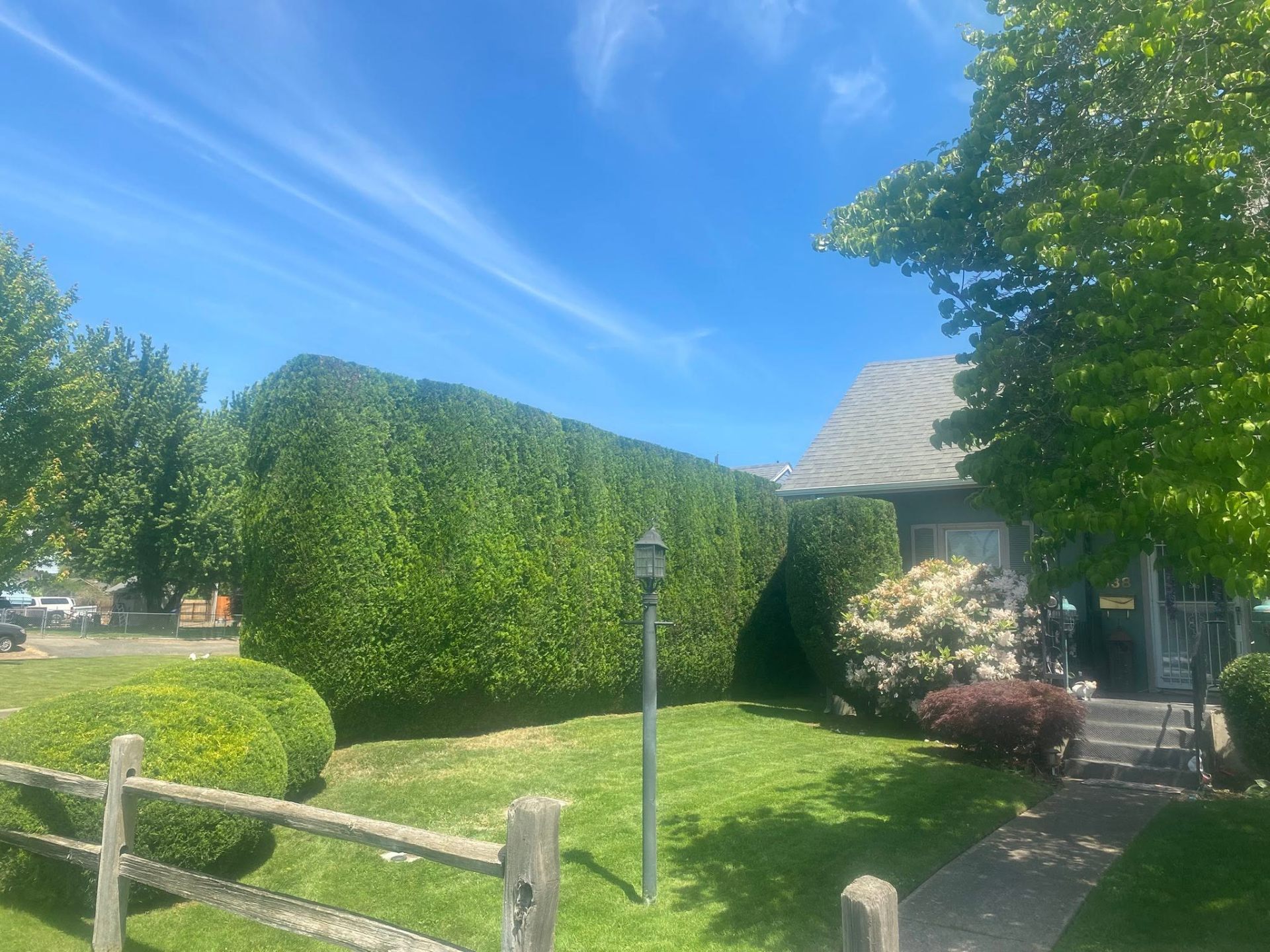 Landscaping project 44