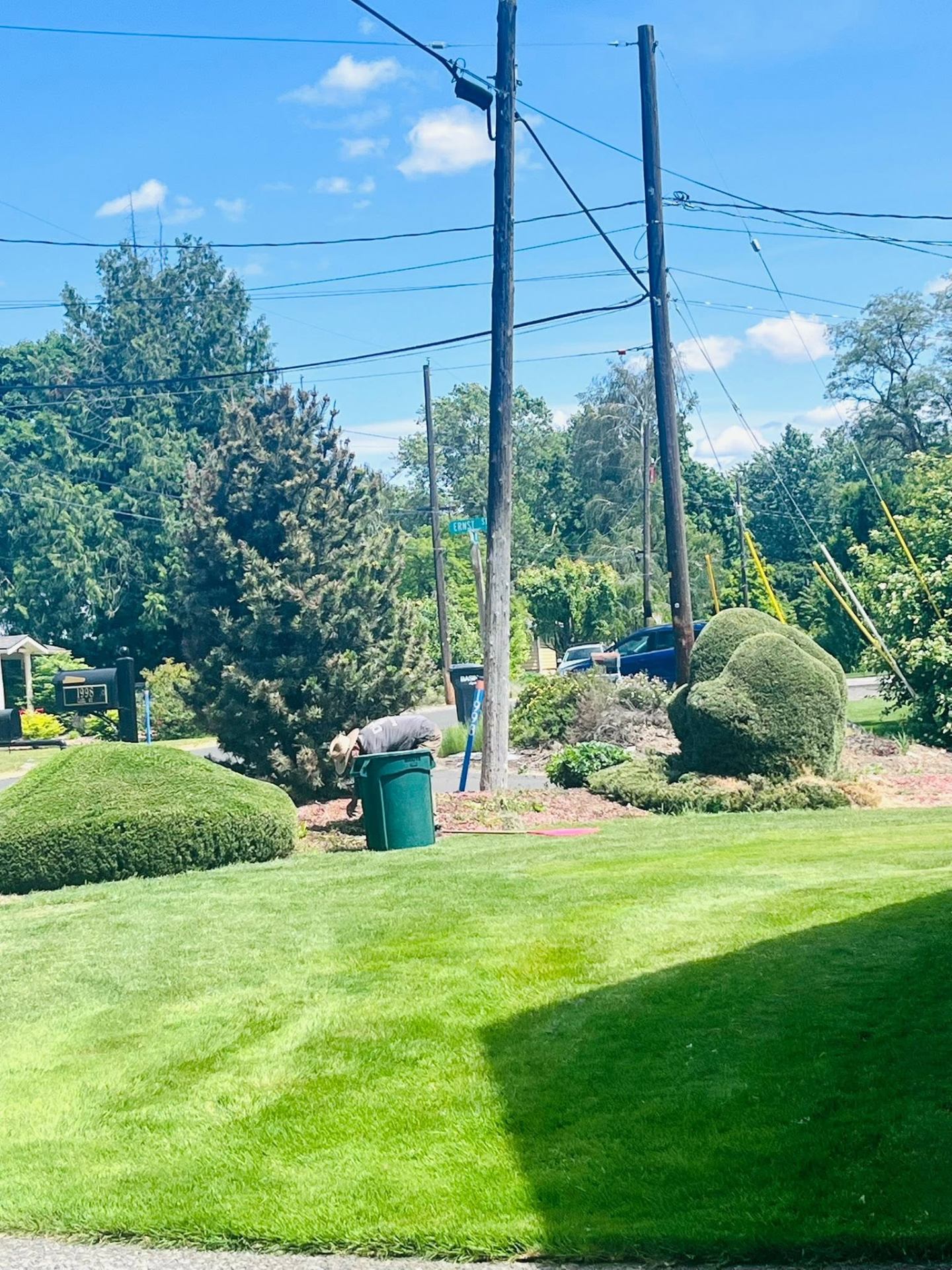 Landscaping project 9