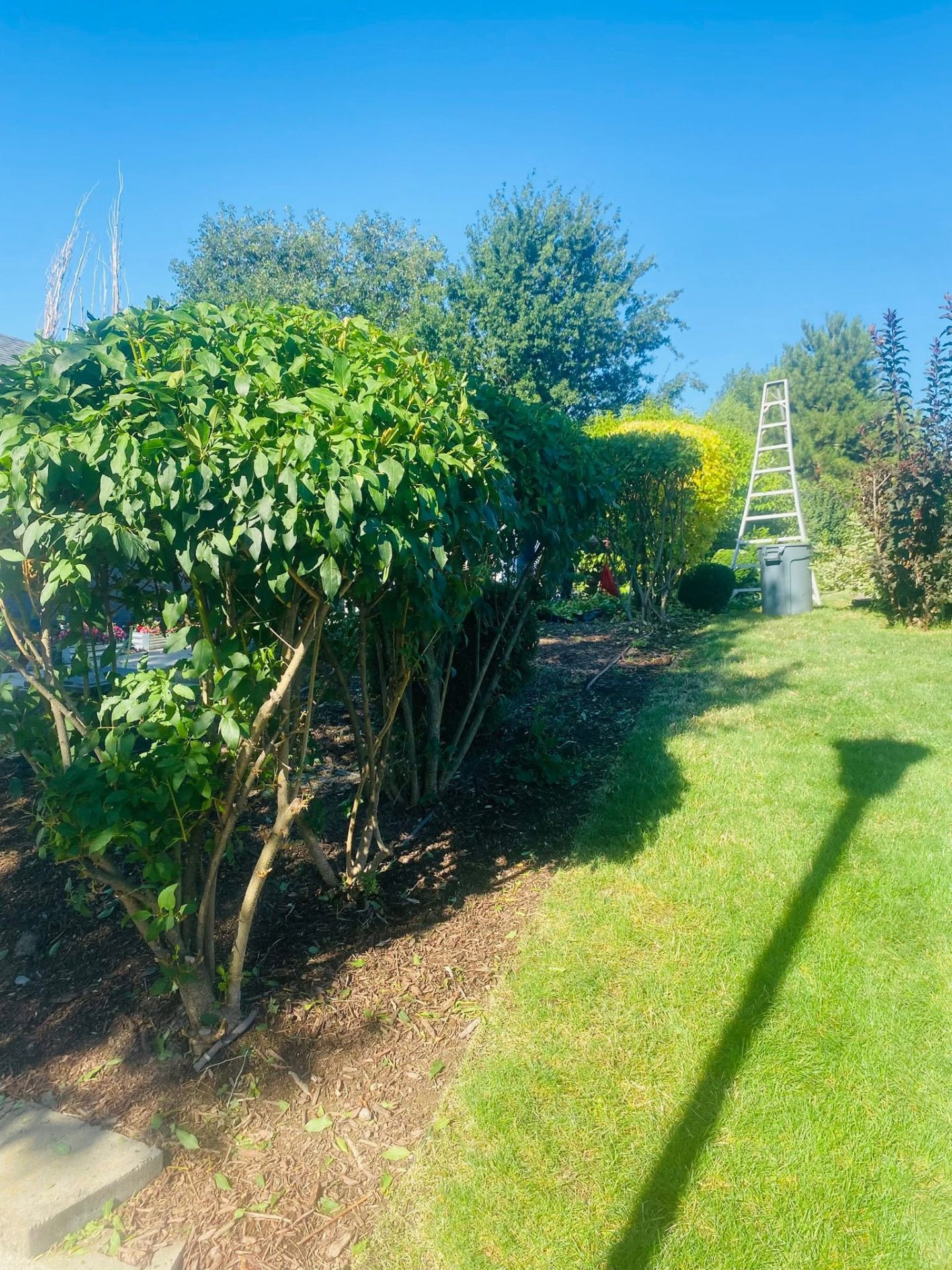 Landscaping project 48