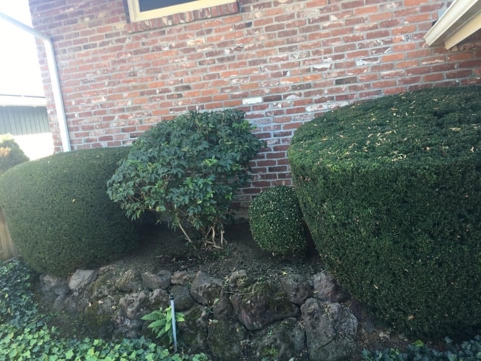 Landscaping project 50