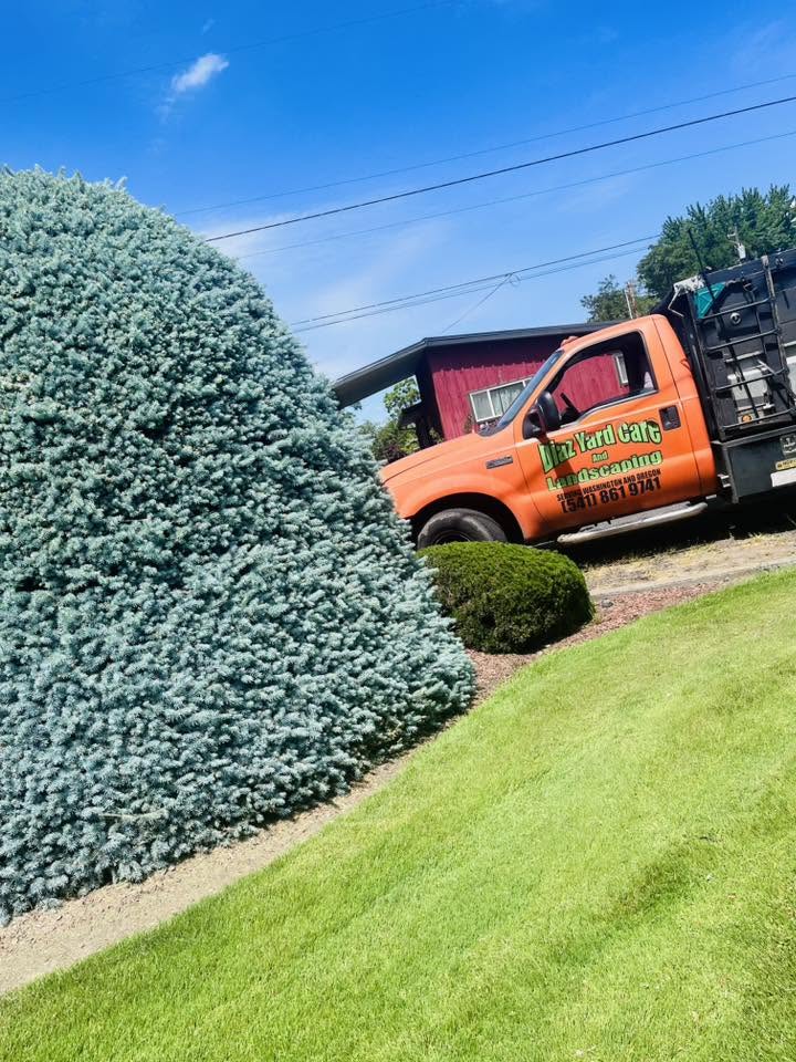 Landscaping project 47