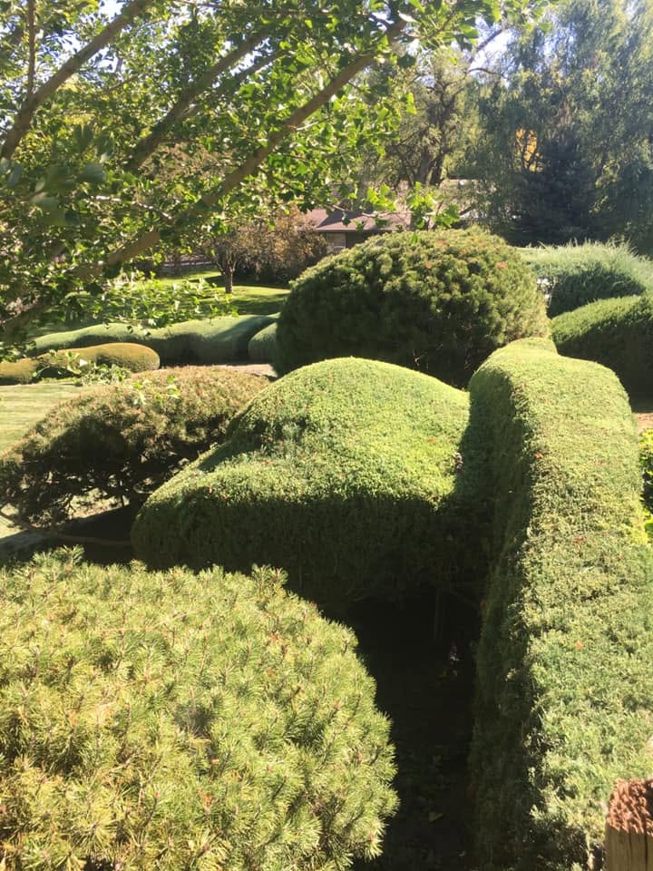 Landscaping project 59
