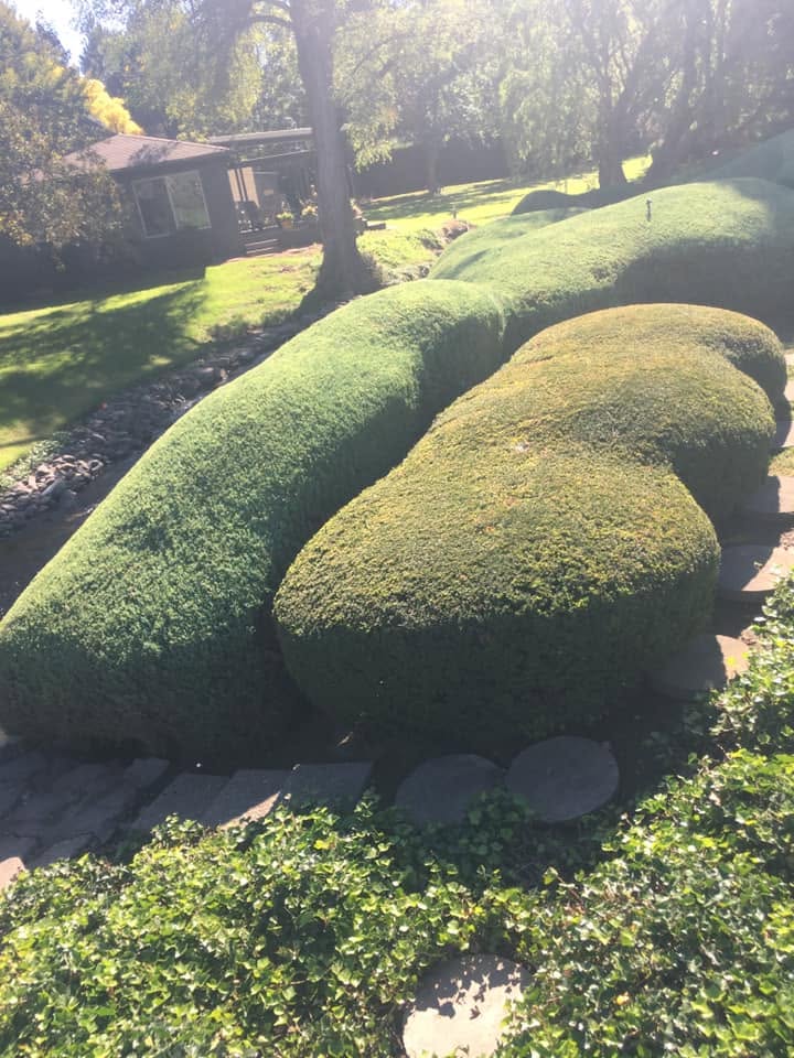 Landscaping project 67