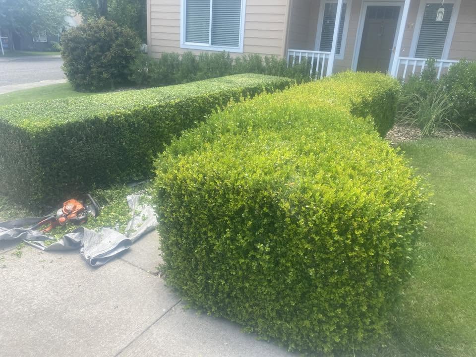 Landscaping project 55