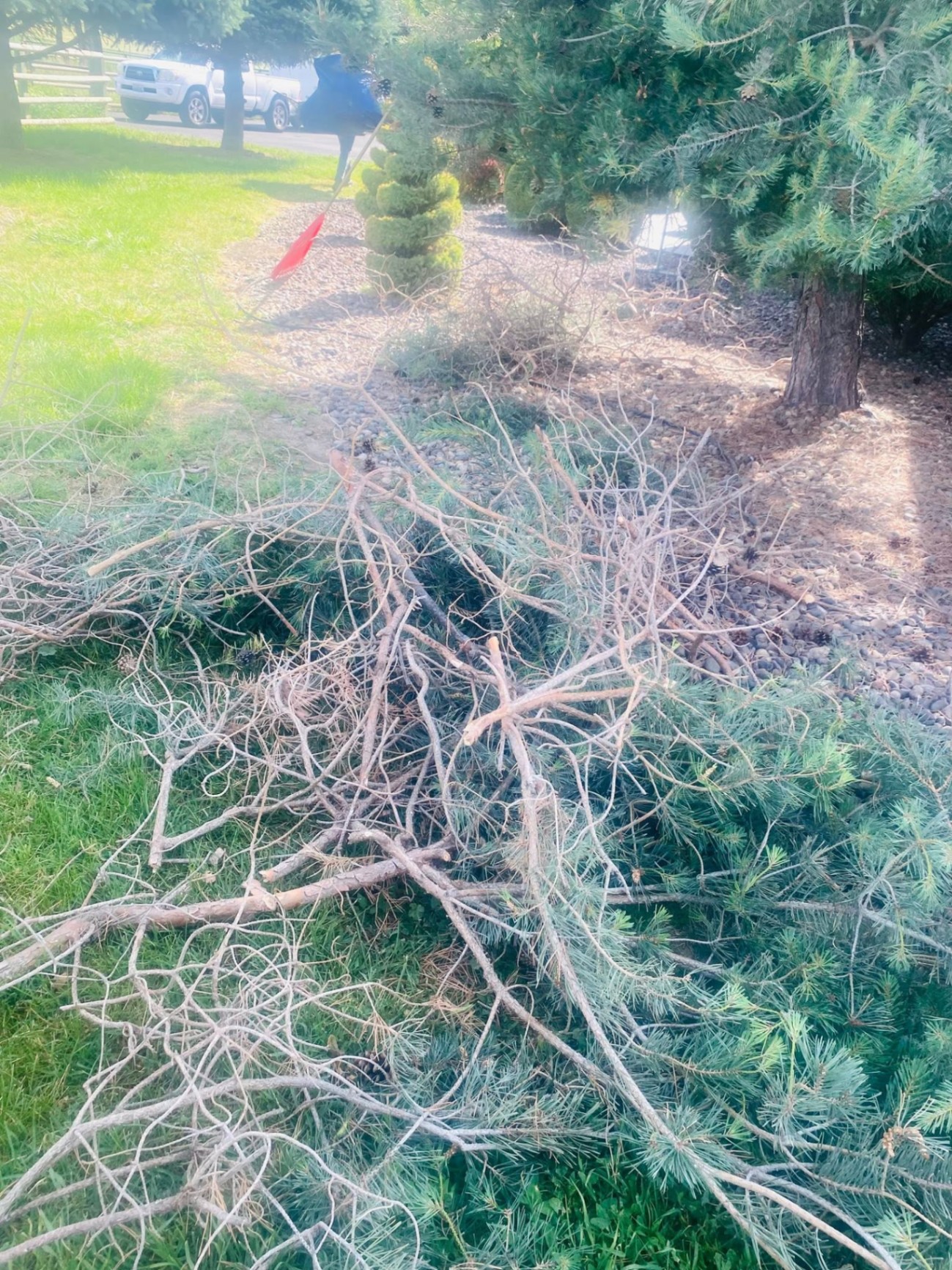 Landscaping project 13