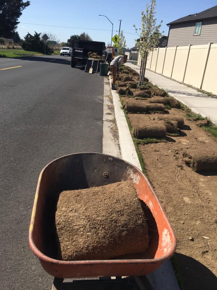 Landscaping project 79