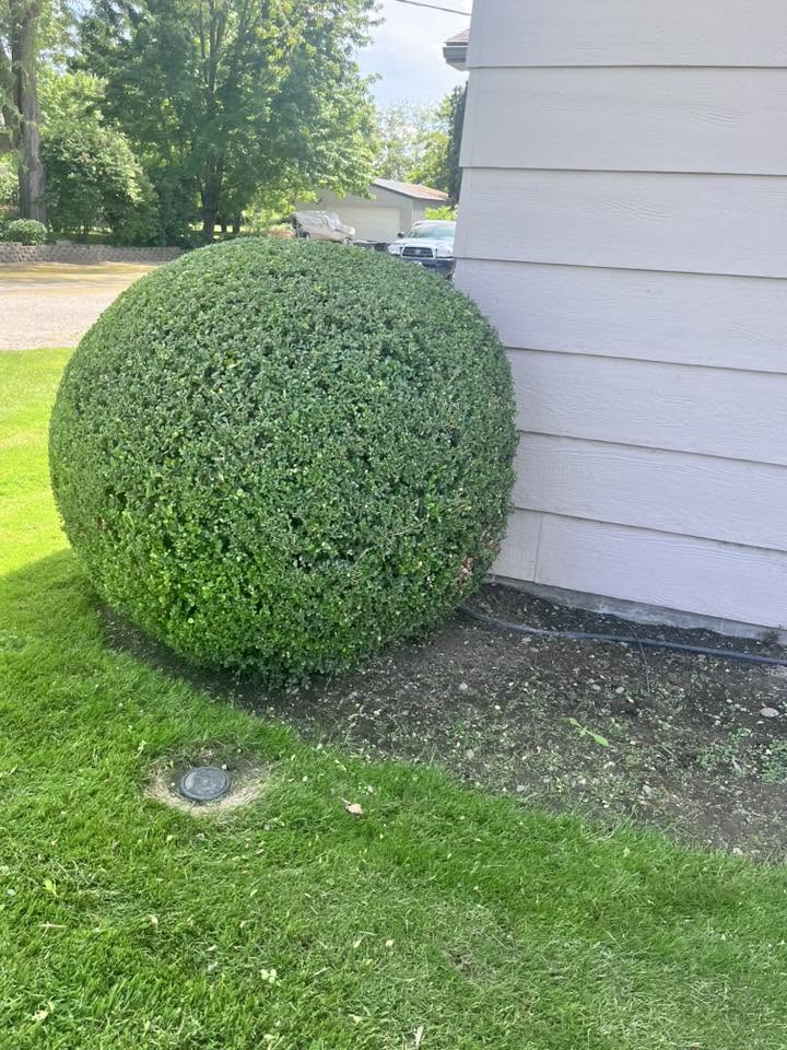 Landscaping project 54