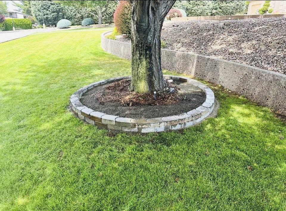 Landscaping project 28