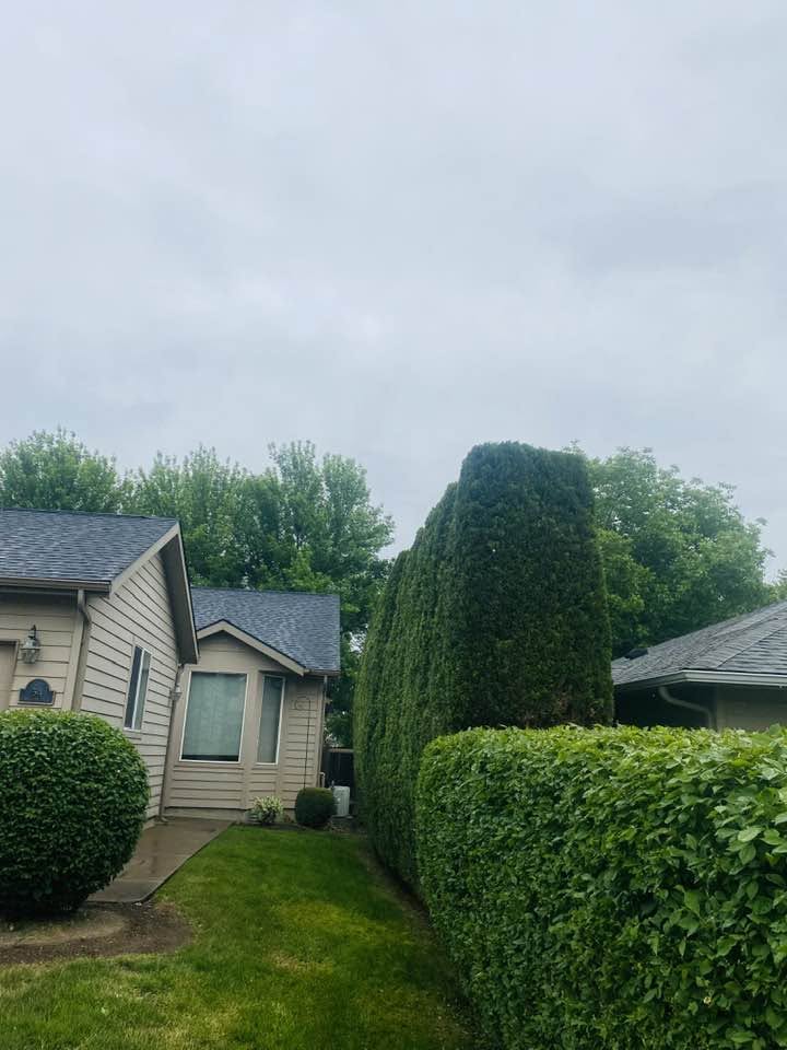 Landscaping project 11
