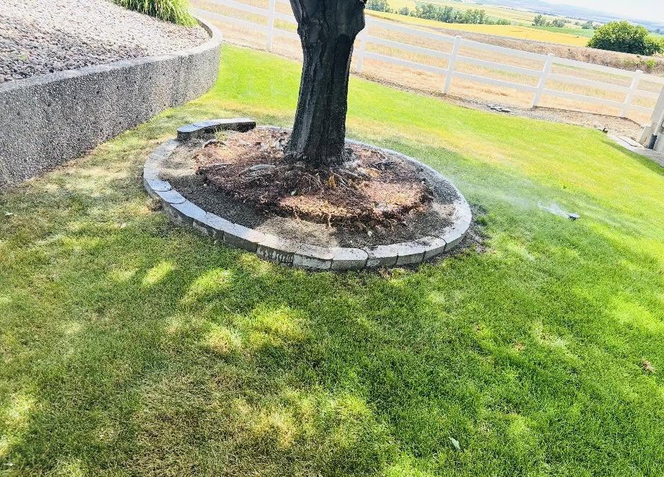 Landscaping project 27