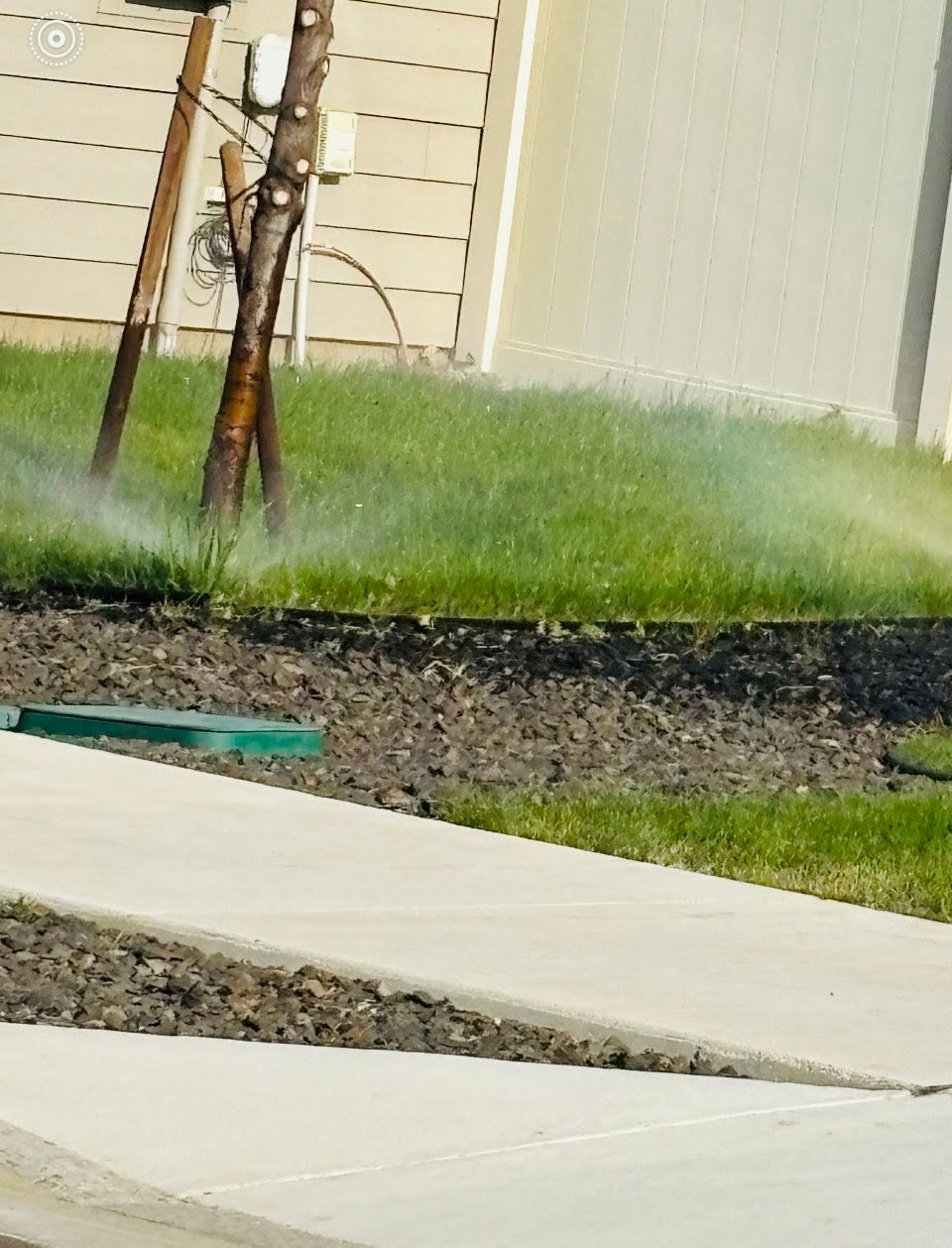 Landscaping project 38