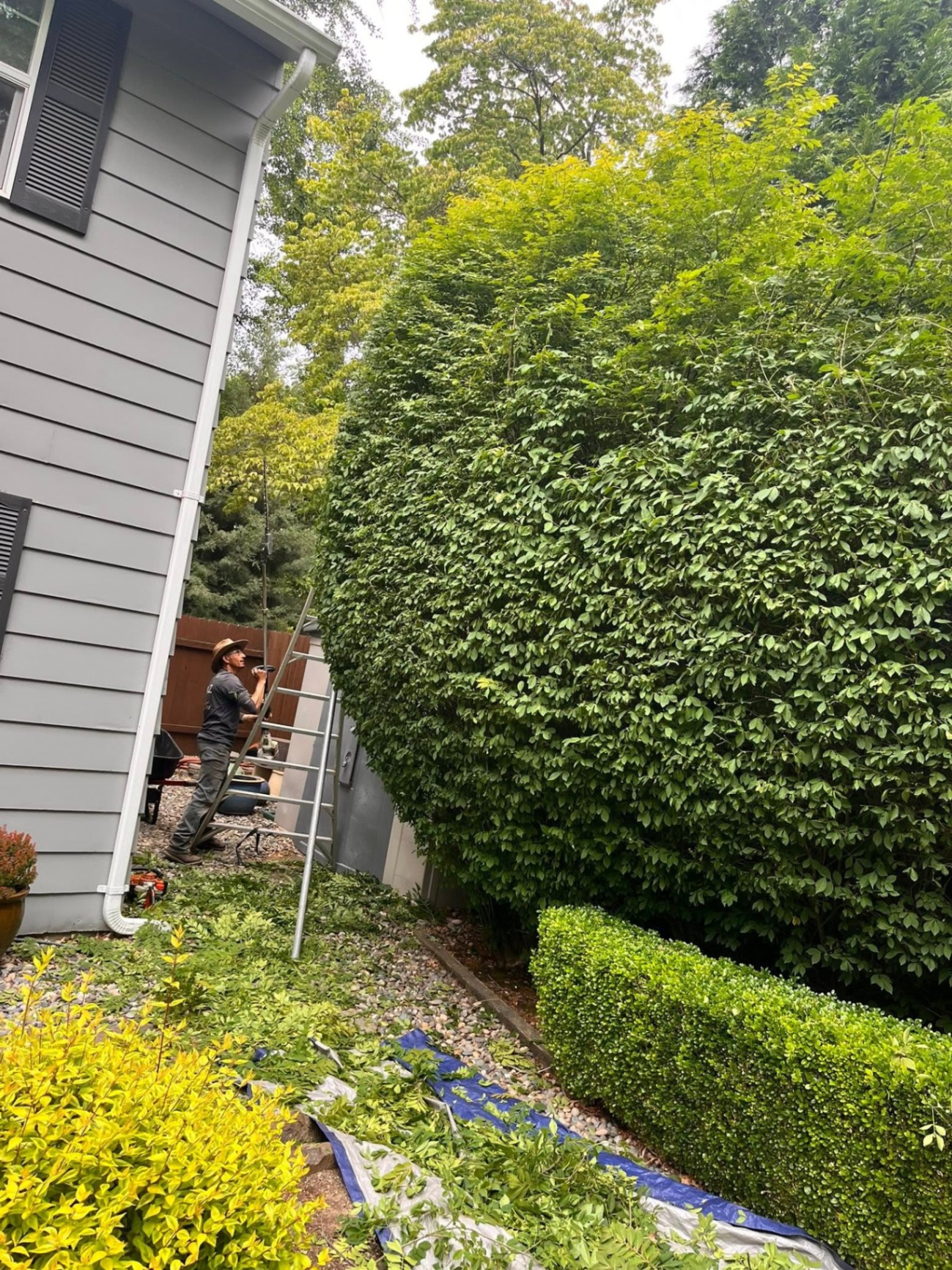 Landscaping project 56