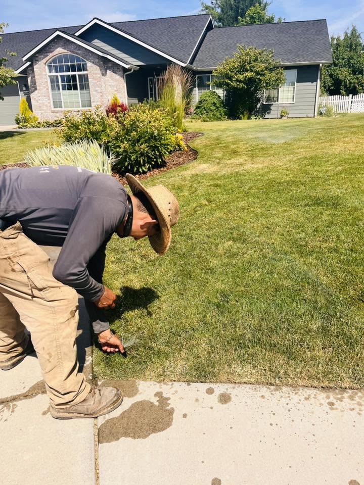 Landscaping project 3