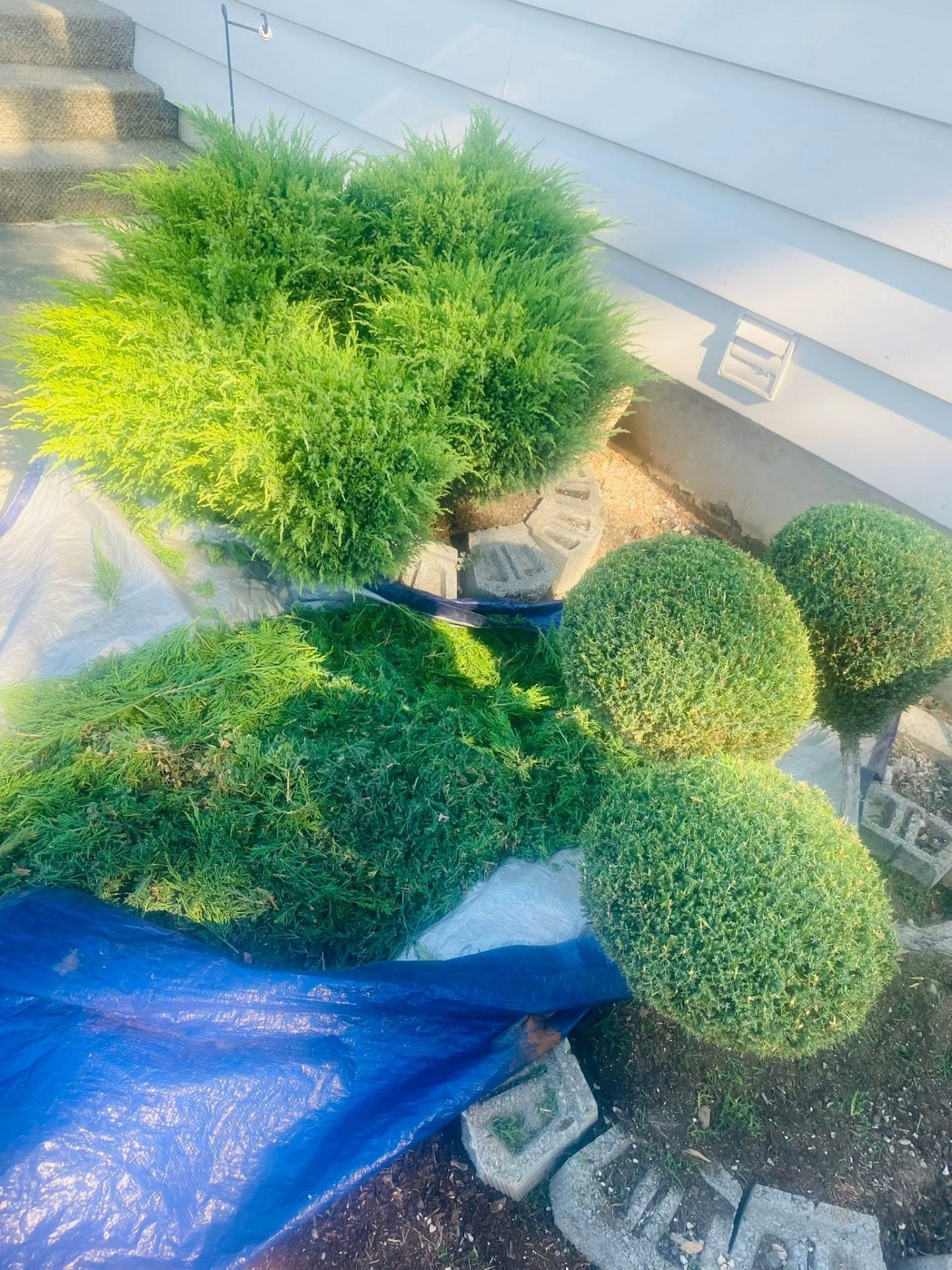 Landscaping project 68