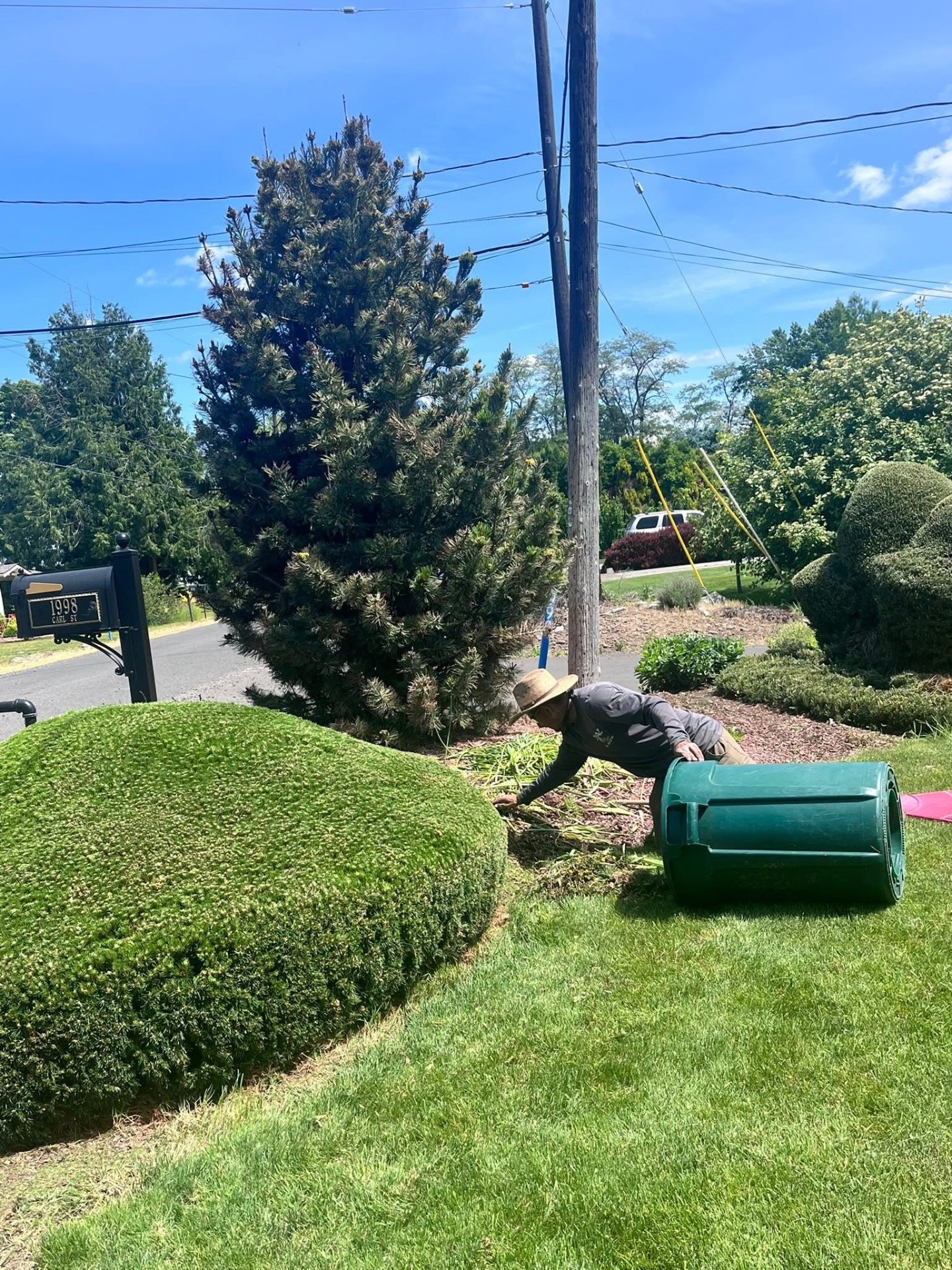 Landscaping project 89