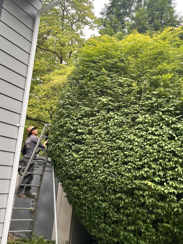 Landscaping project 86