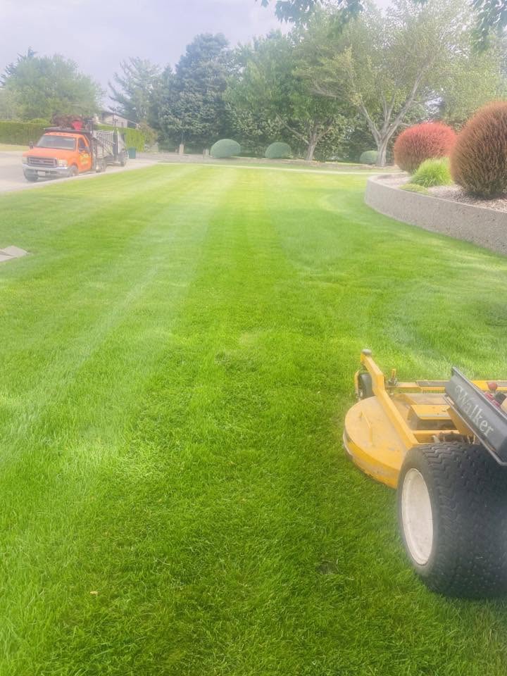 Landscaping project 29