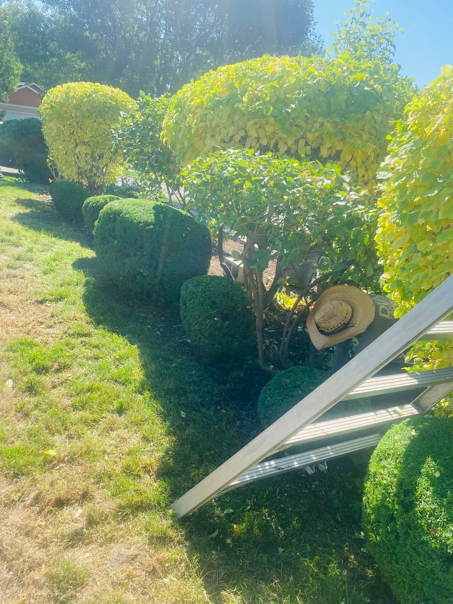 Landscaping project 10