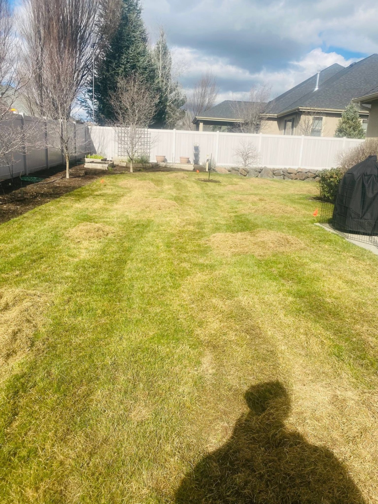 Landscaping project 6