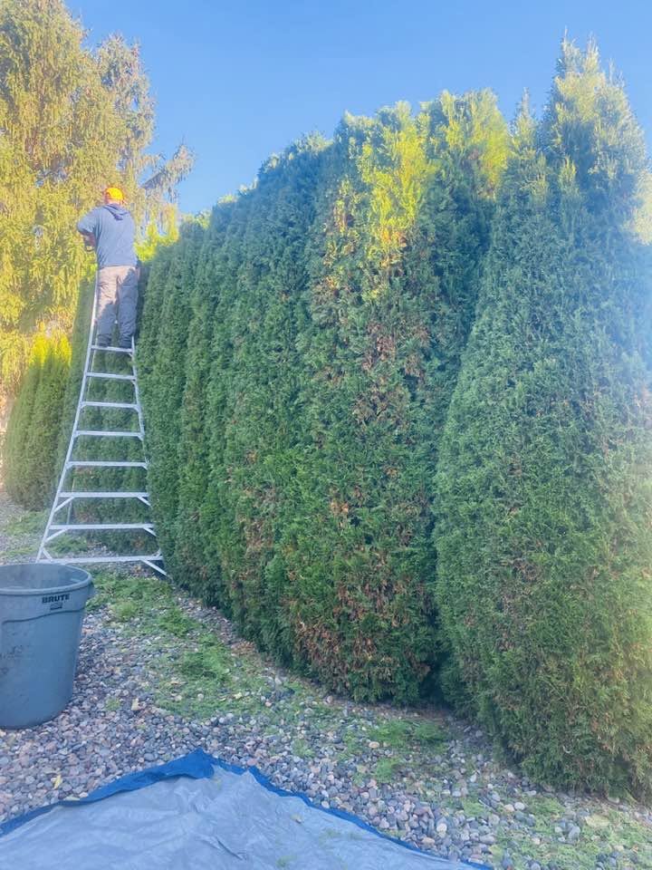 Landscaping project 45