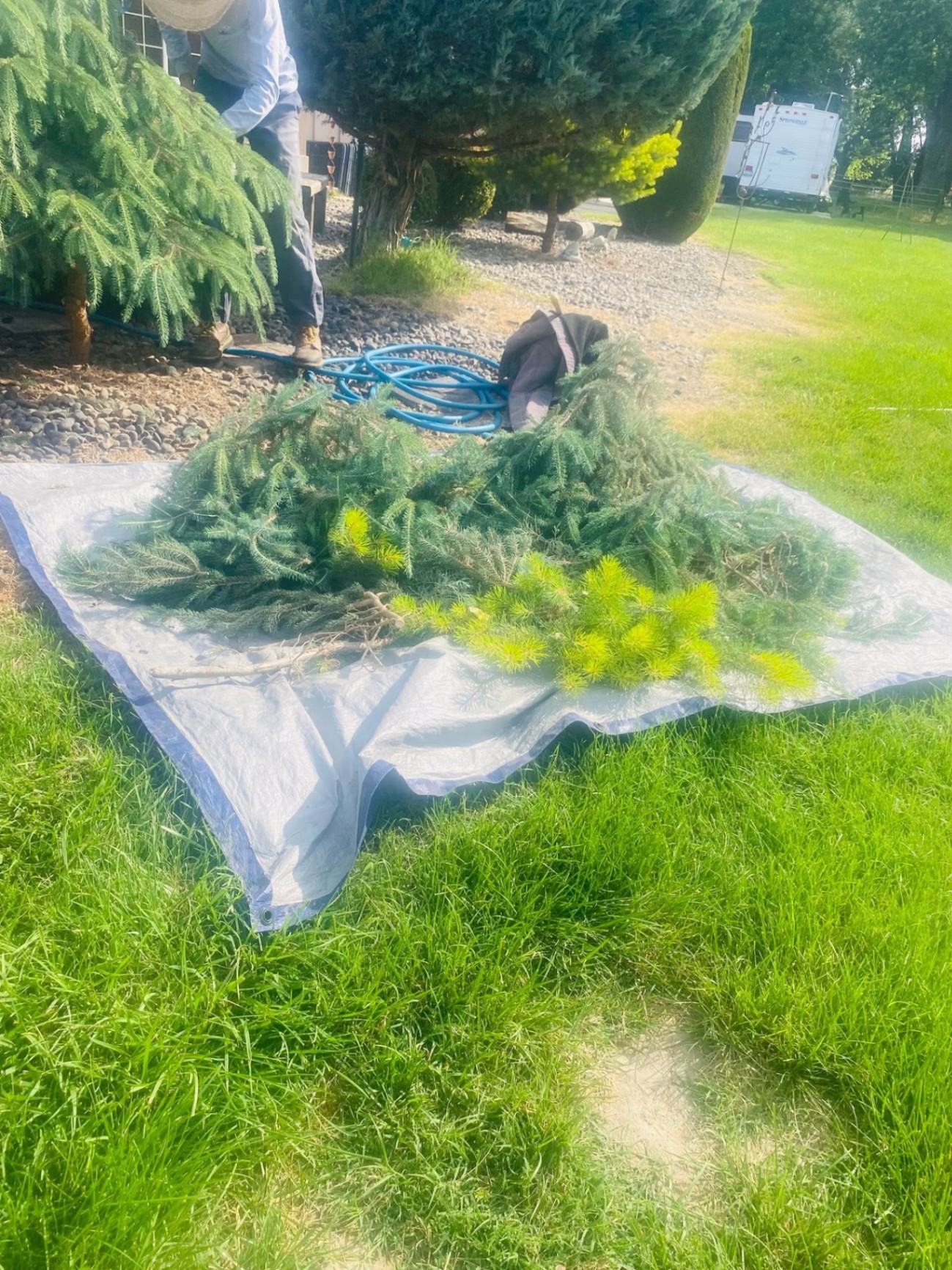Landscaping project 18
