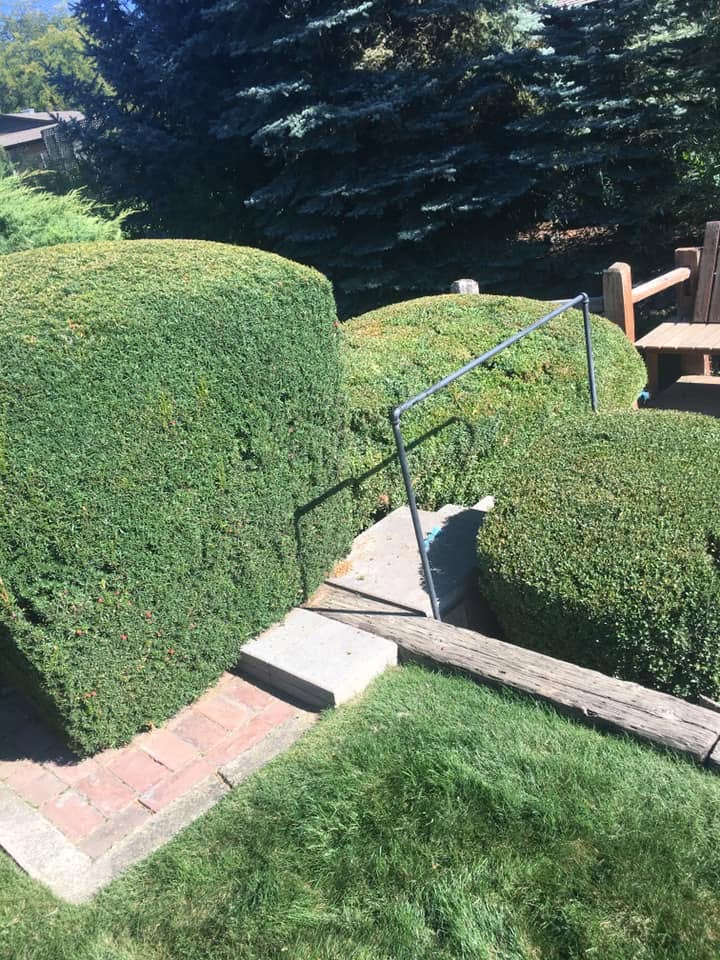 Landscaping project 84