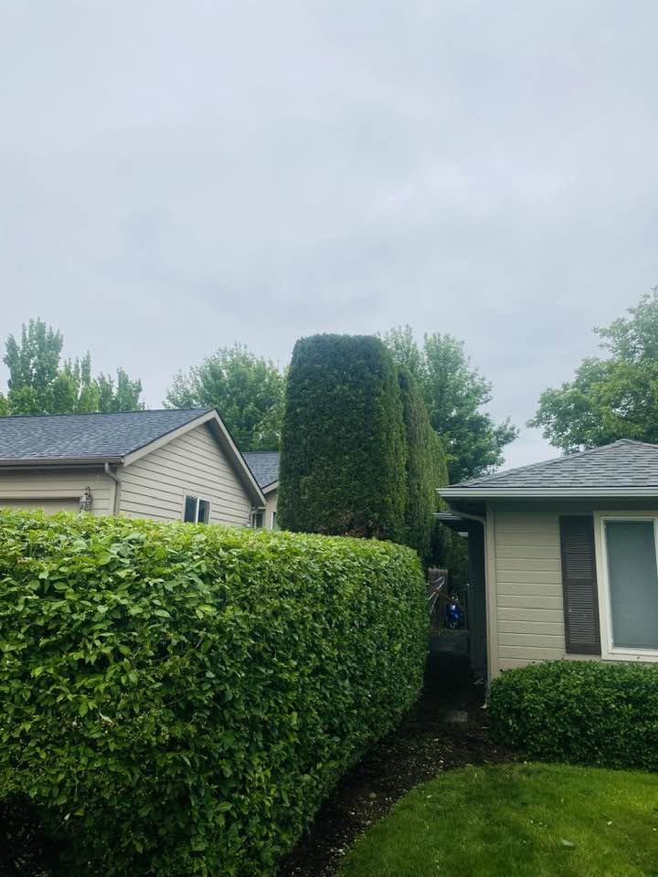Landscaping project 20