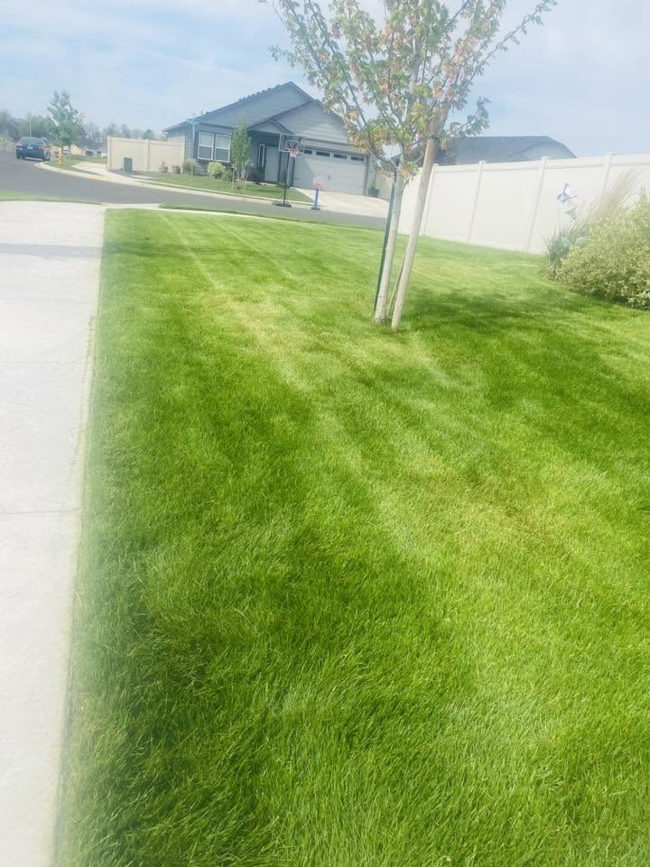 Landscaping project 71