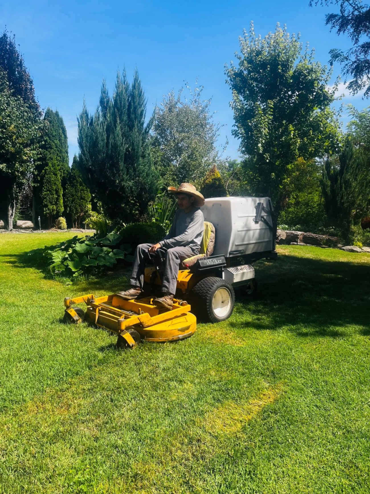 Landscaping project 75