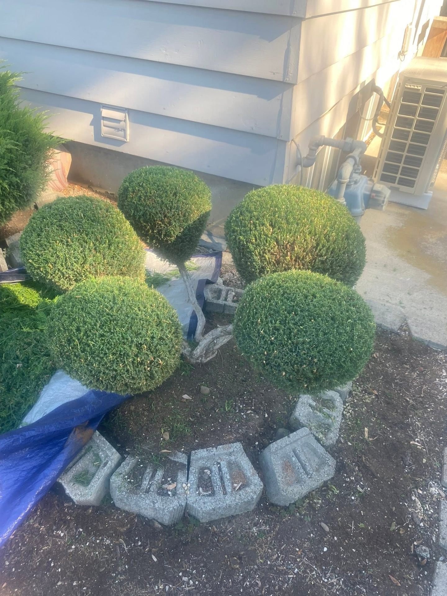 Landscaping project 21