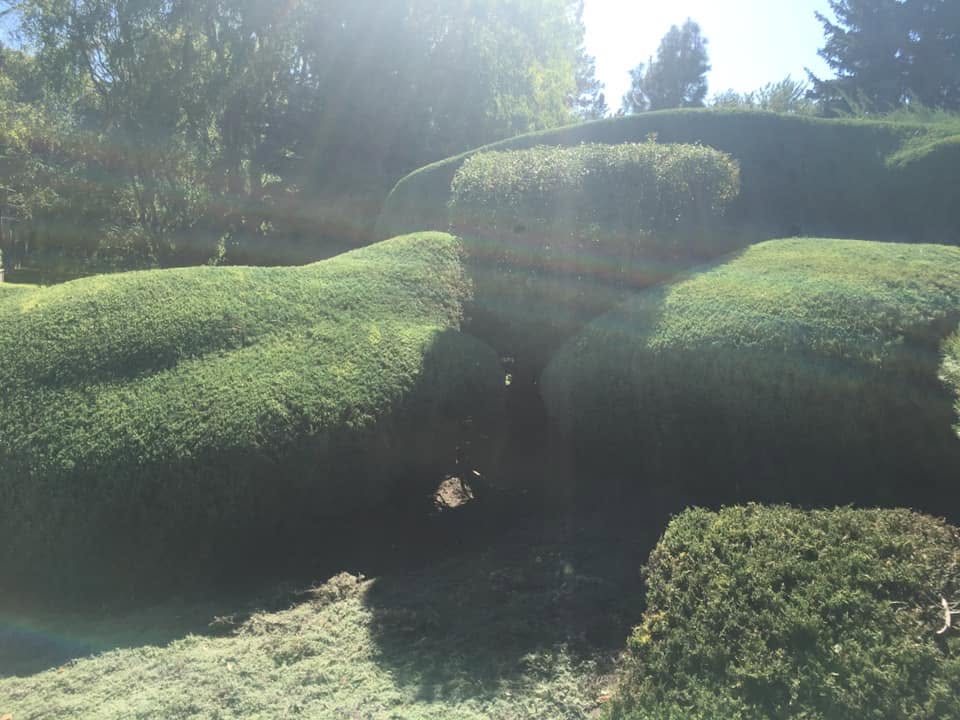 Landscaping project 51