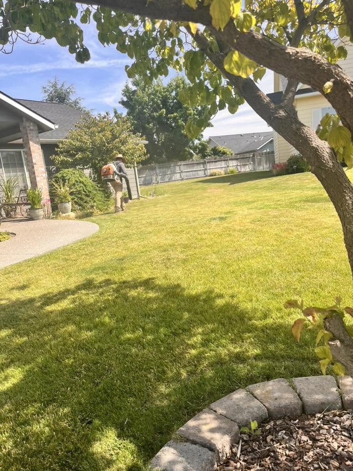 Landscaping project 30