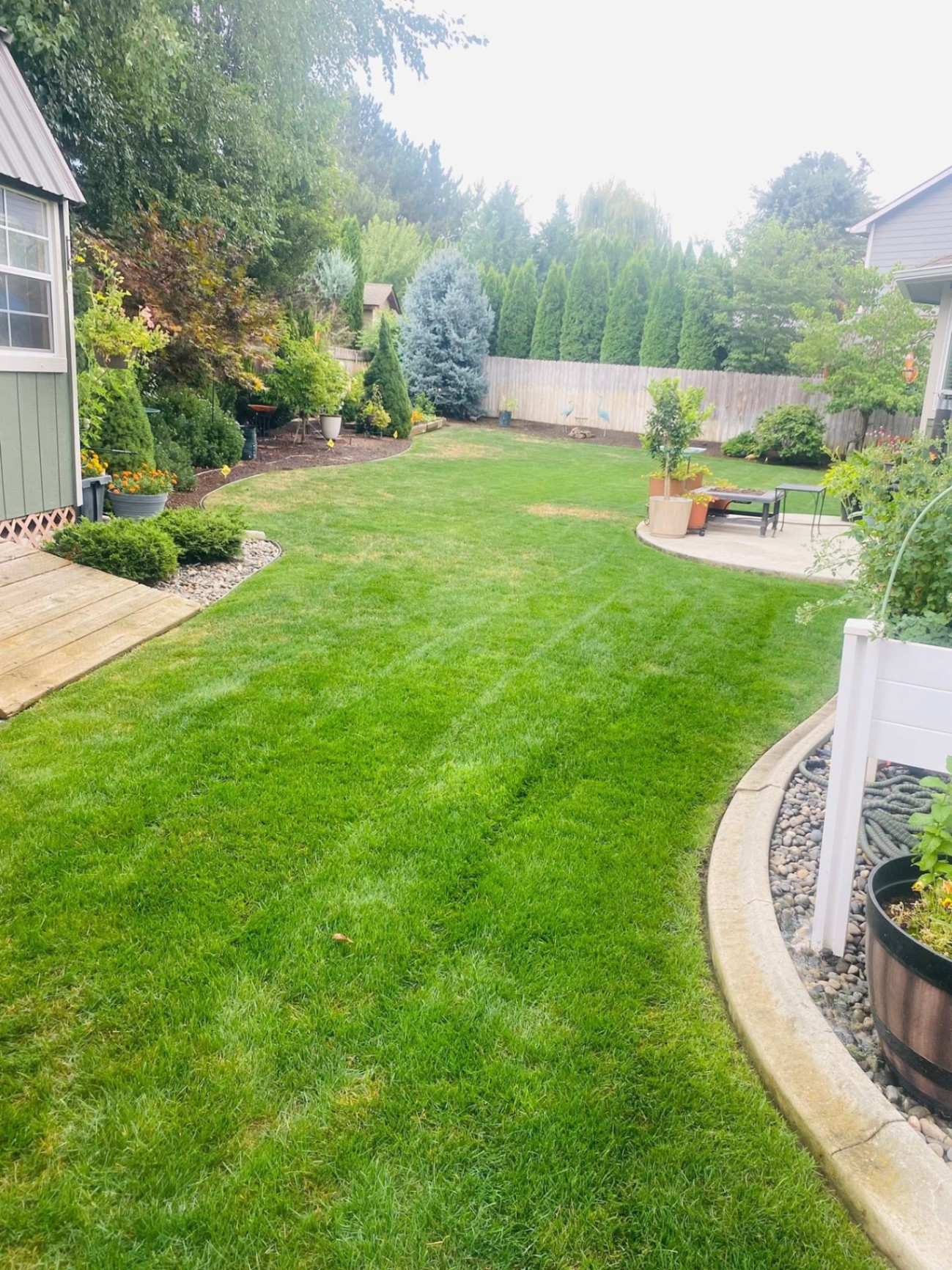 Landscaping project 7