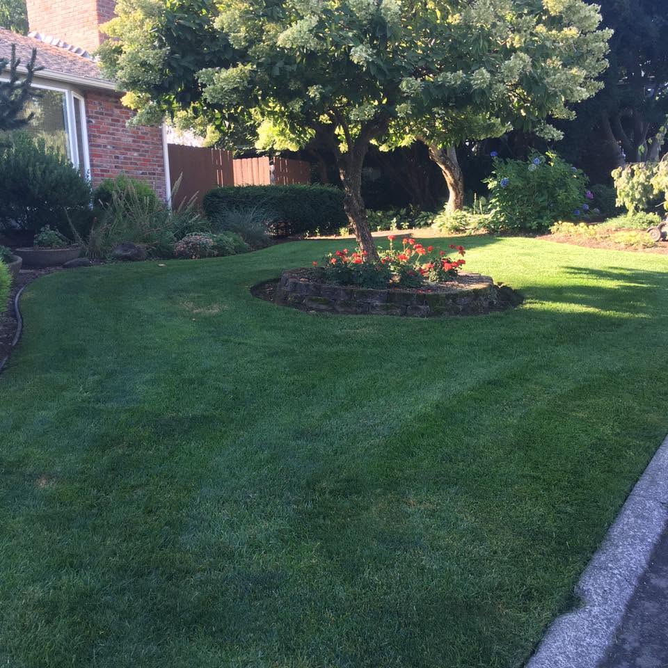 Landscaping project 92