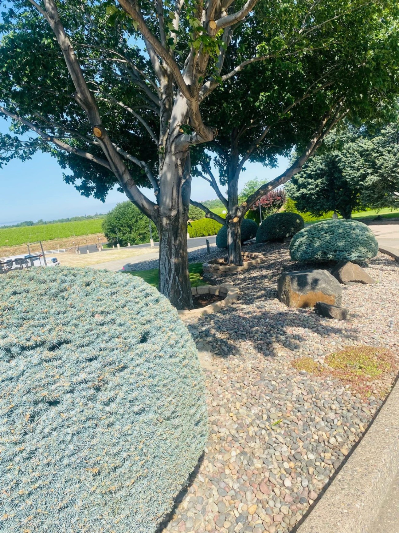 Landscaping project 64