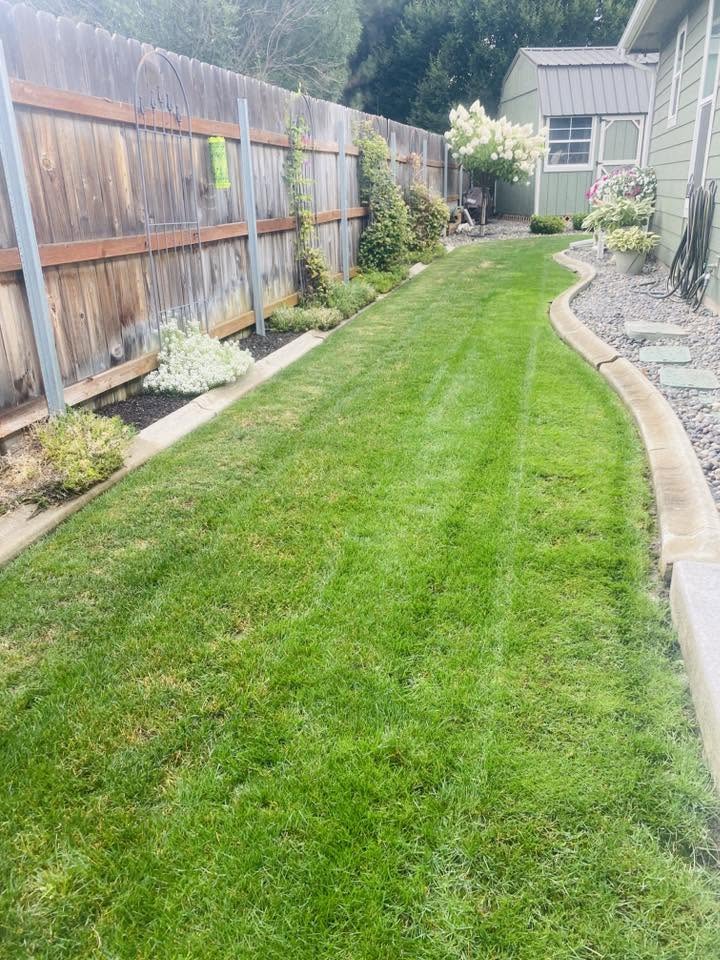 Landscaping project 26