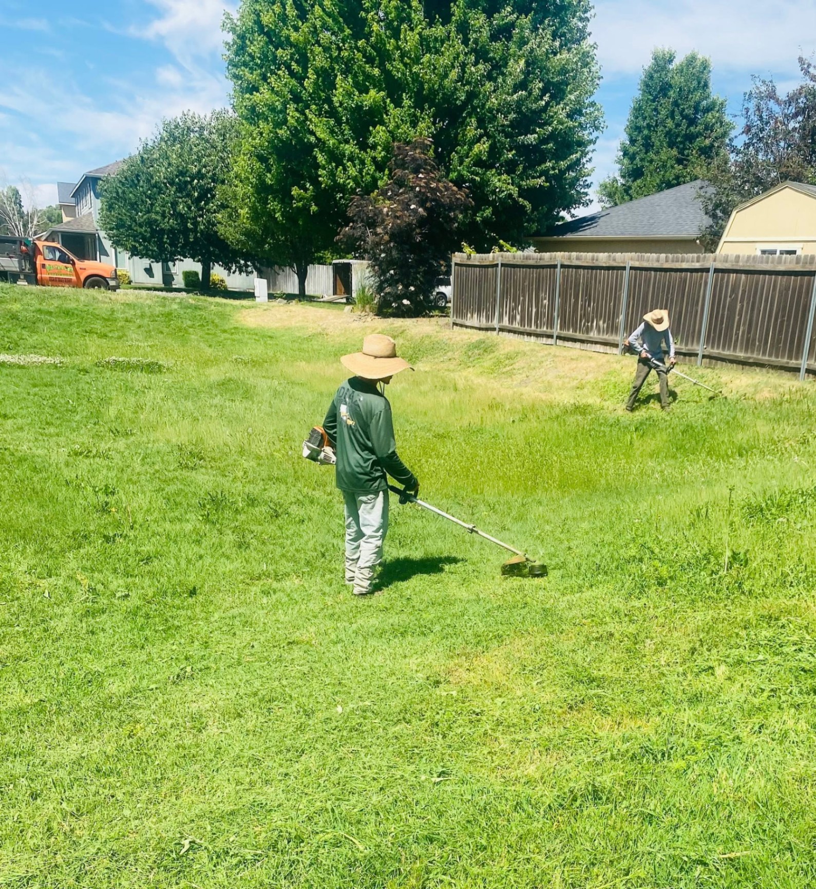 Landscaping project 65