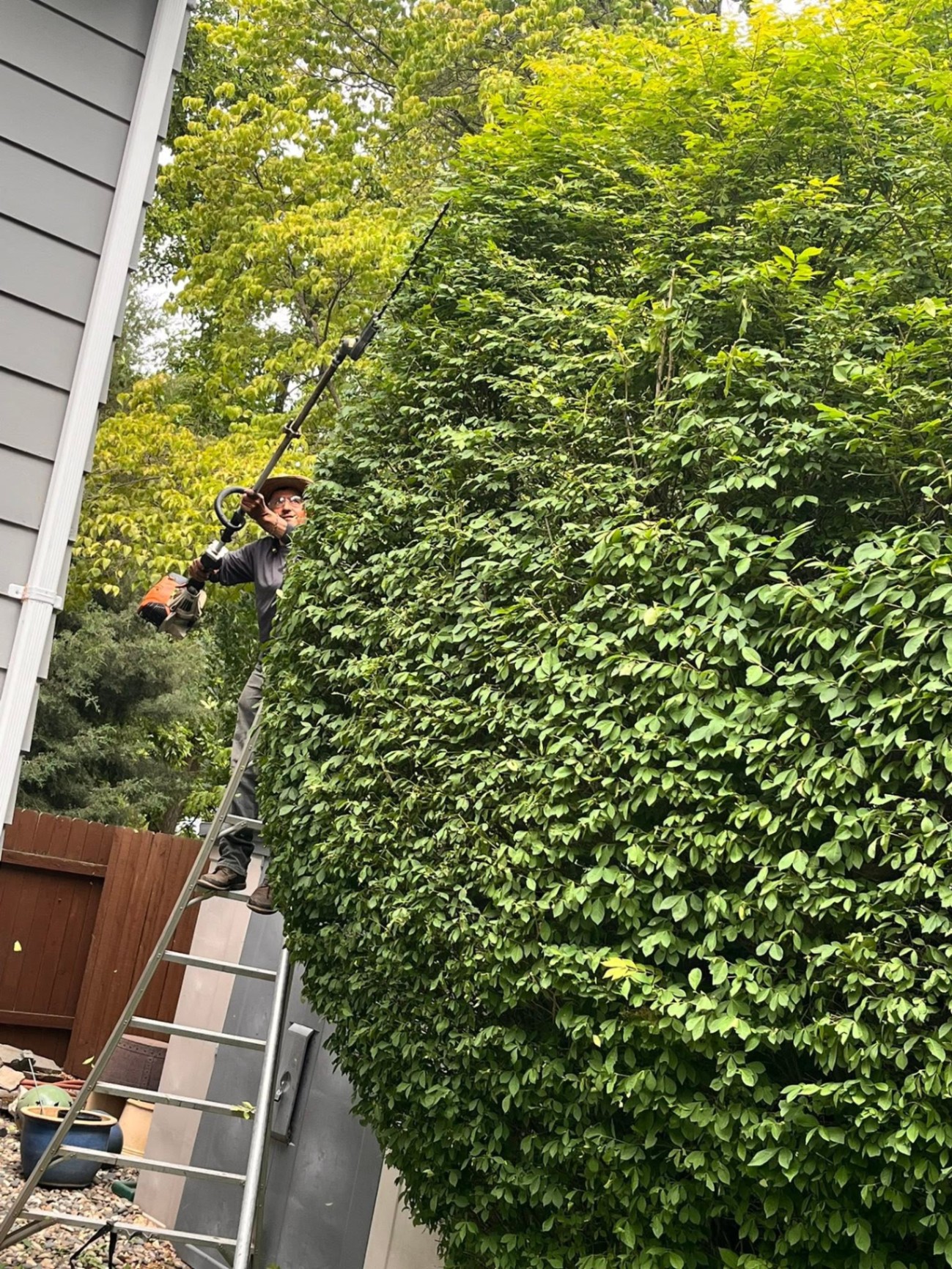 Landscaping project 87