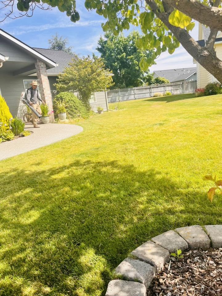 Landscaping project 32