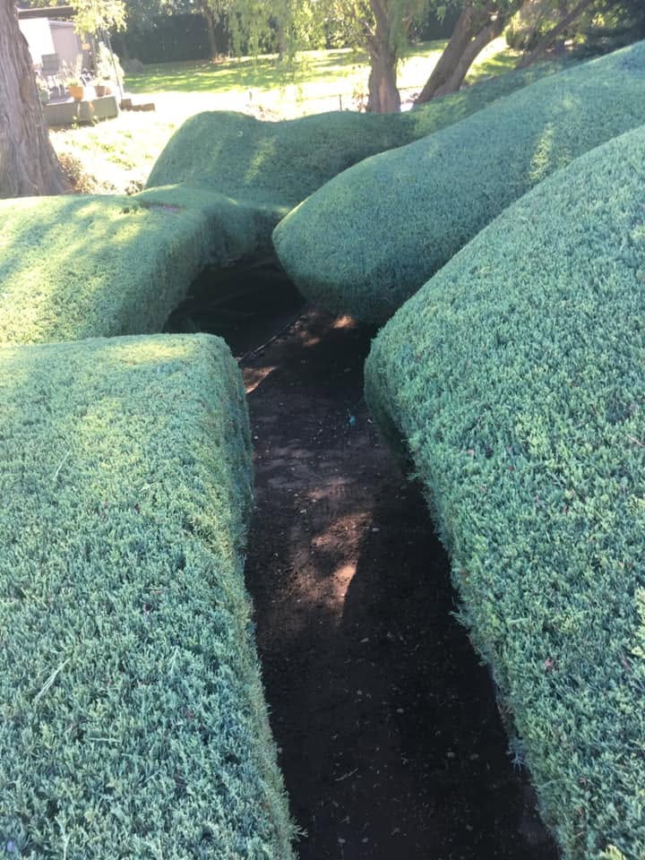 Landscaping project 76