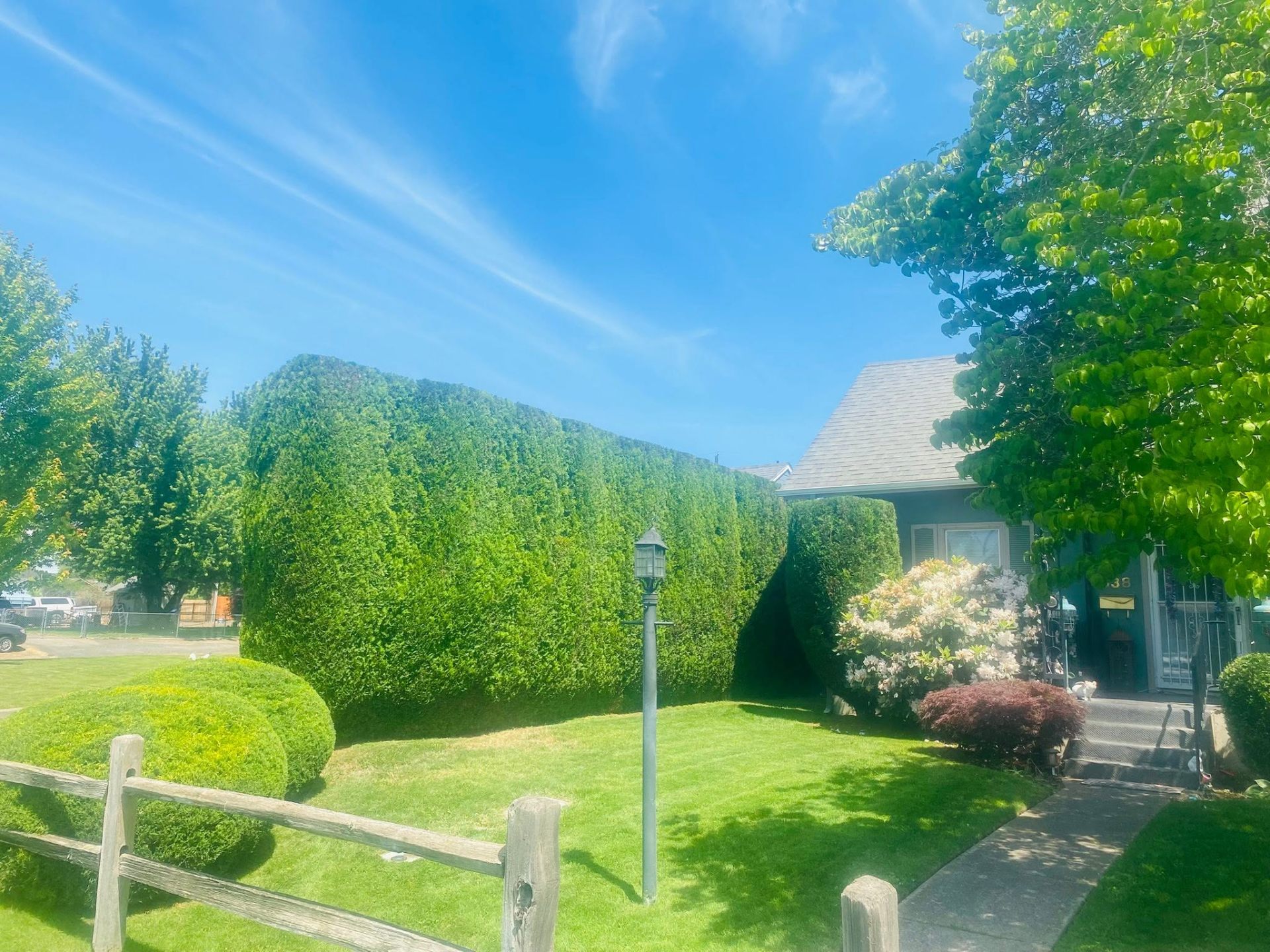 Landscaping project 43