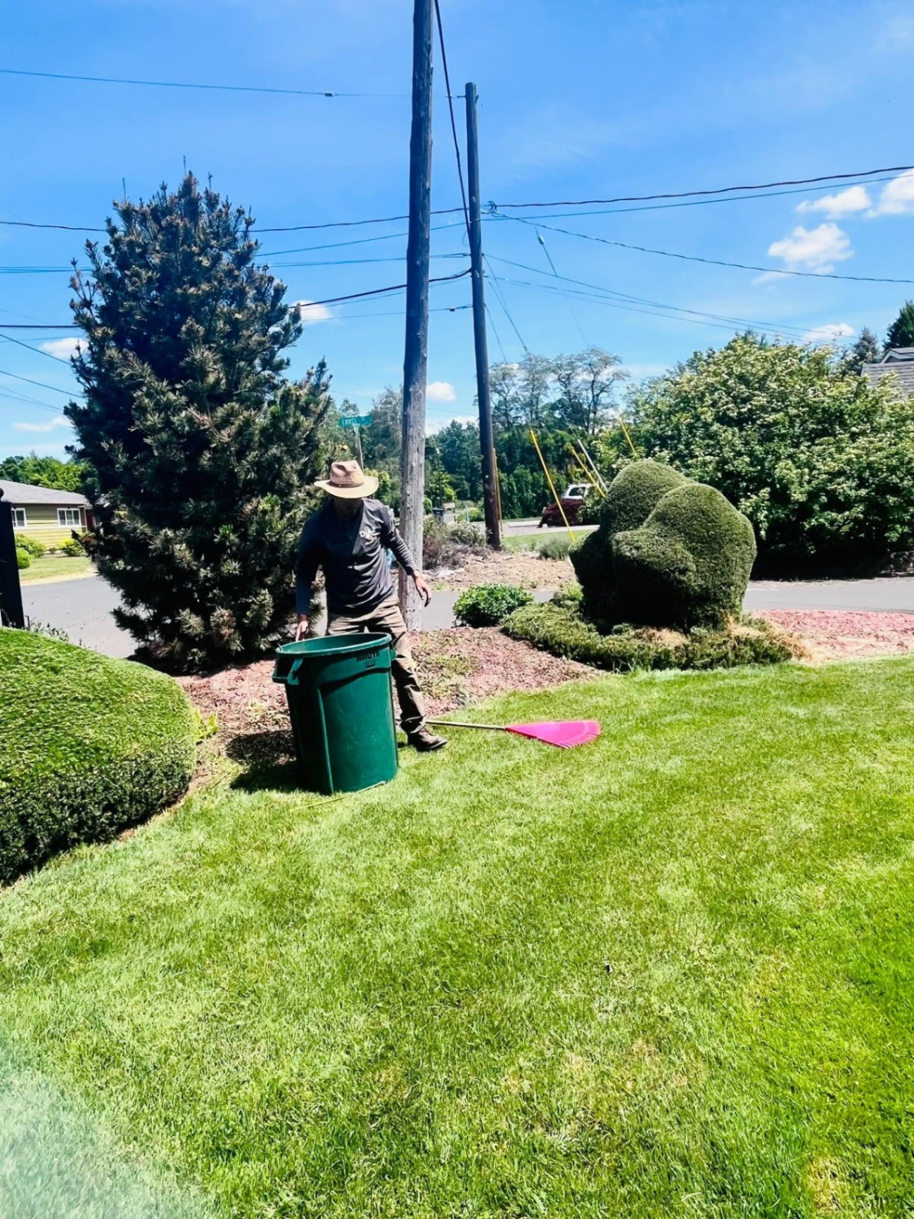 Landscaping project 8